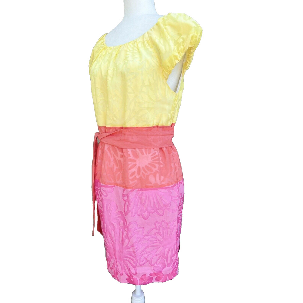 Lilly Pulitzer Hotty Pink Burnout Combo Sully colorblock flower Dress L A000262 - Picture 4 of 10